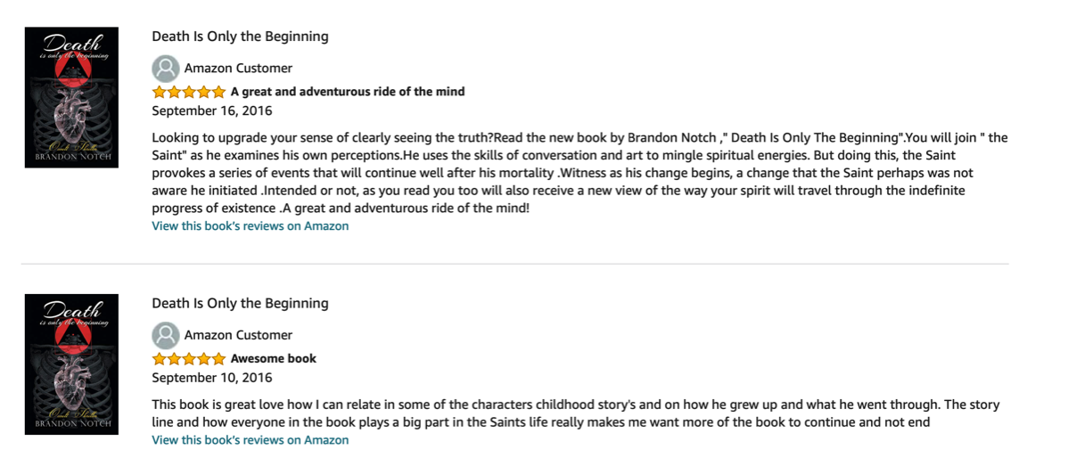 Customer book review of Death is Only the Beginning