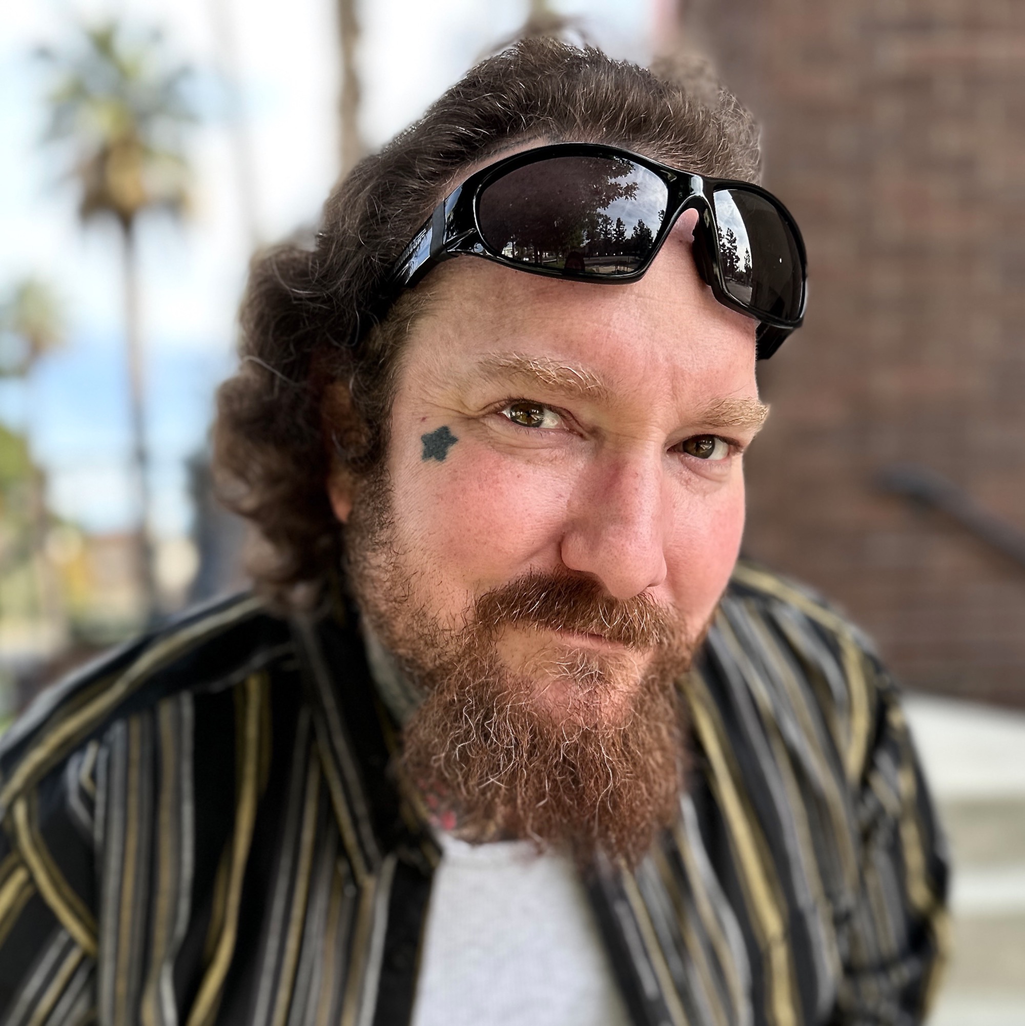  Portrait photo of Brandon Notch 